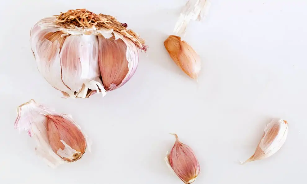 freezing garlic in ice cube trays - One Hundred Dollars a Month