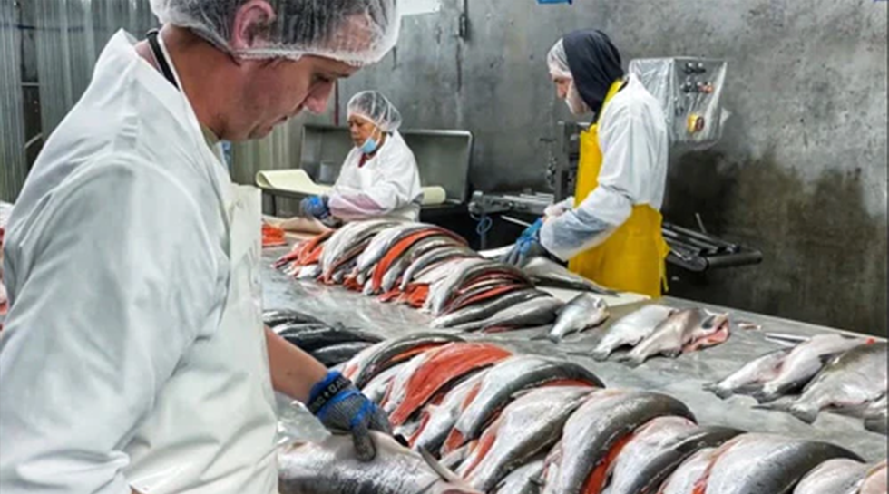 Seabear Smokehouse Workers