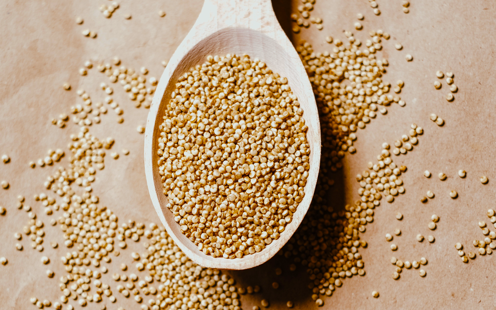 Quinoa Grains