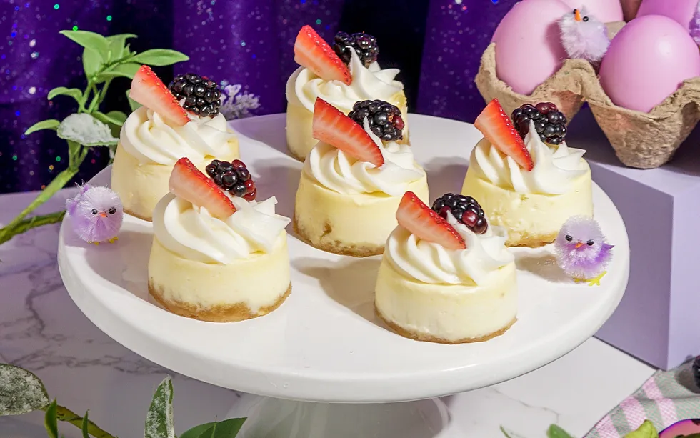 Wondermonday Cheesecake Snacks